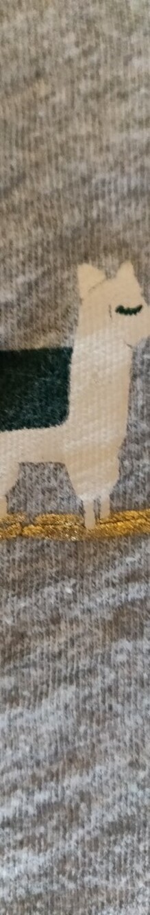 J. Crew Gray Short Sleeve Tee with Llama Print Collectors Addition - Picture 5 of 16